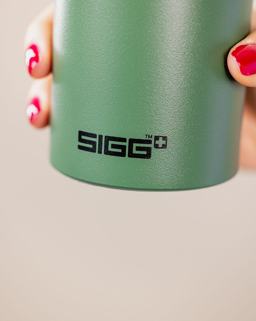 SIGG 0.6 ml Traveler Bottle