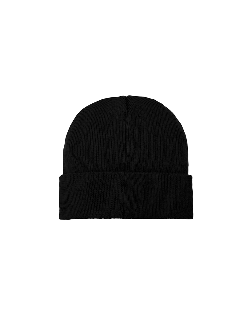 Basic Beanie