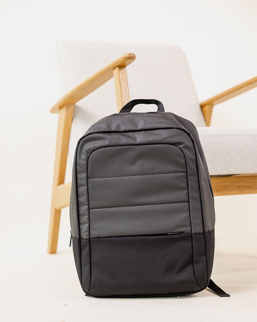 Standard Laptop Backpack