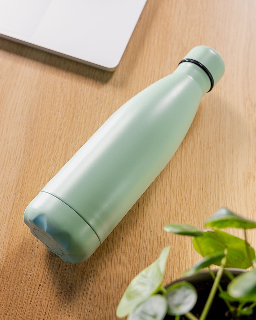 Stainless Steel 500ml Bottle