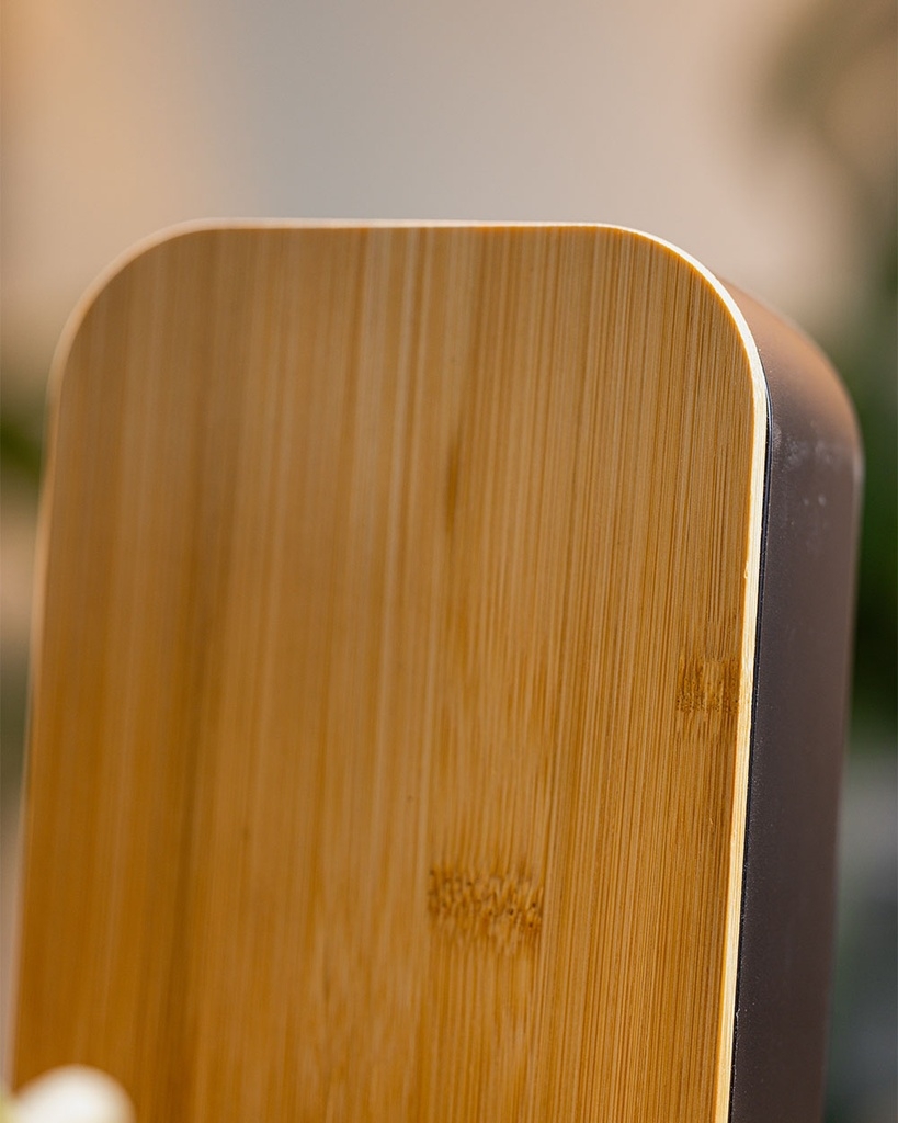 Bamboo Lunchbox