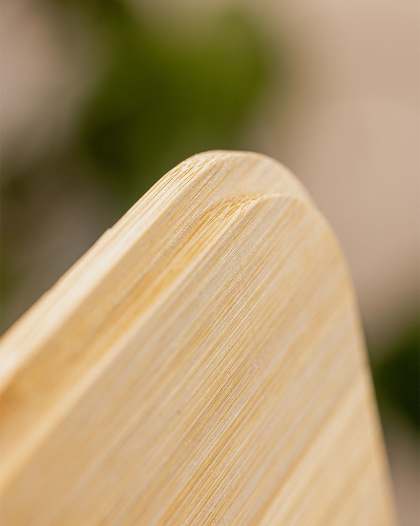 Bamboo Lunchbox