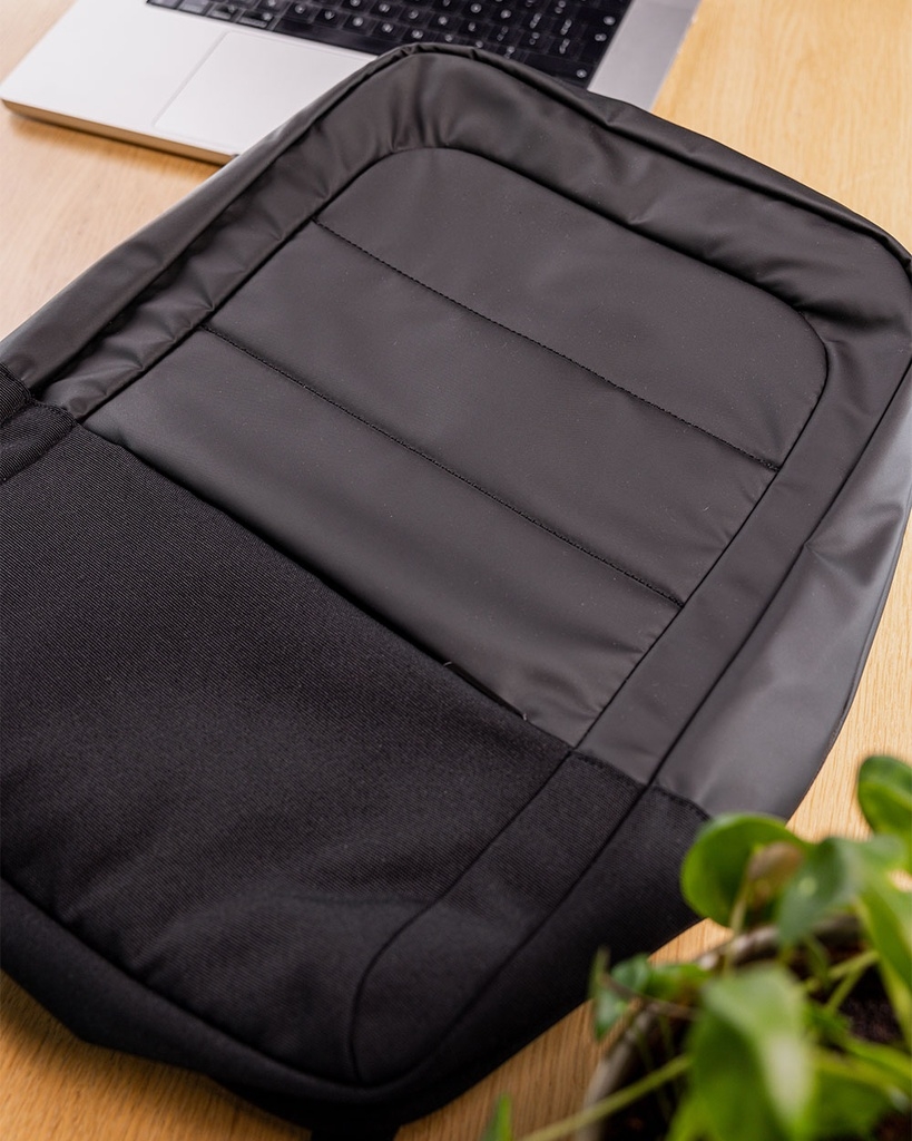 Standard Laptop Backpack