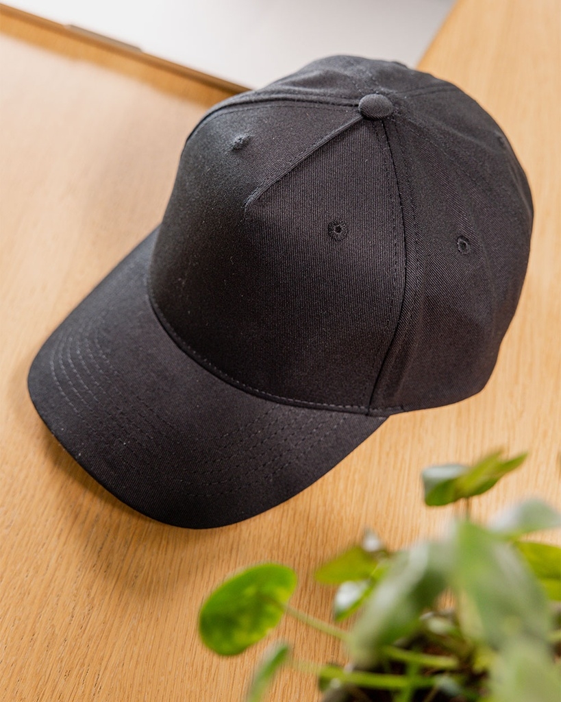 5 Panel Cap