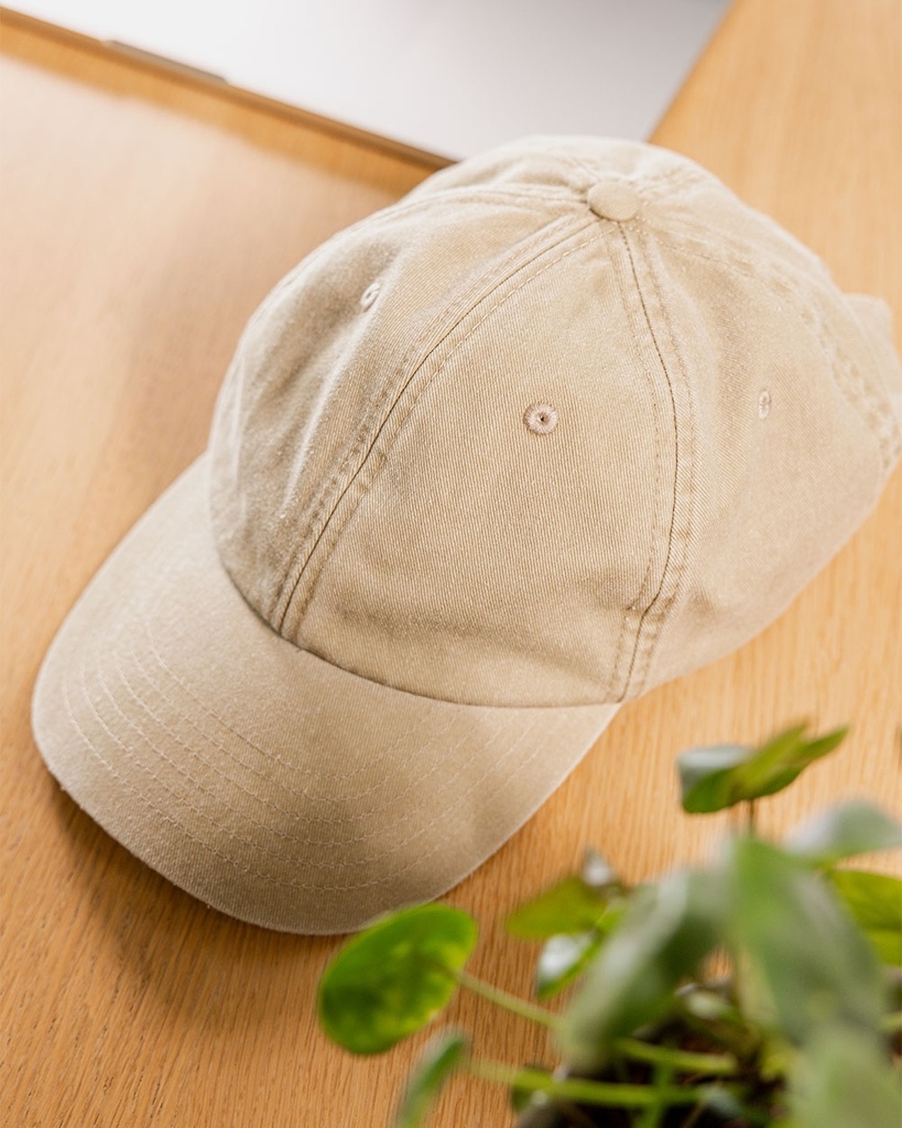 6 Panel Cap