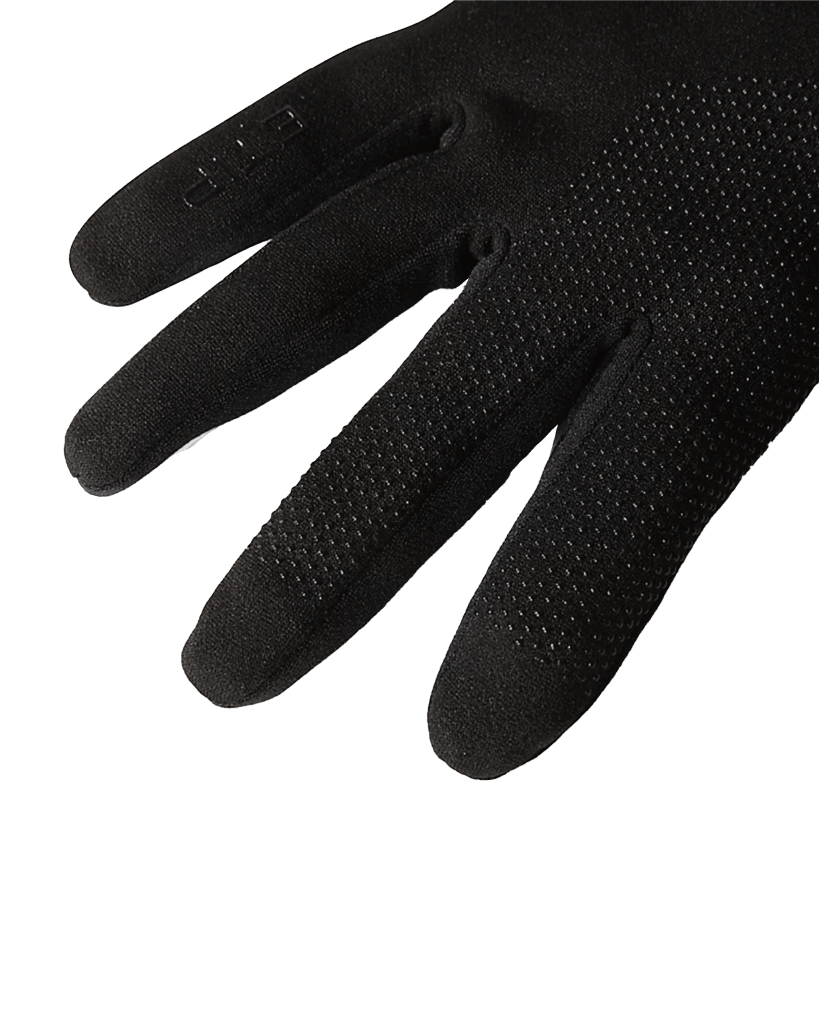 The North Face Gloves