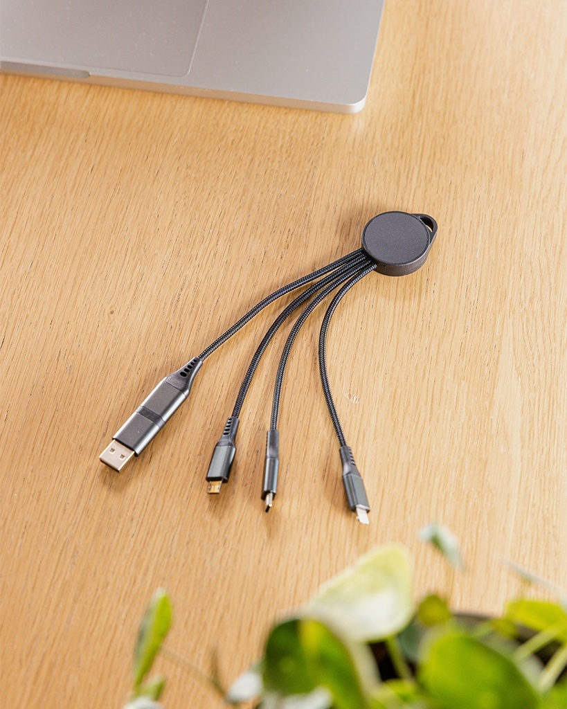 6-in-1 Charging Cable