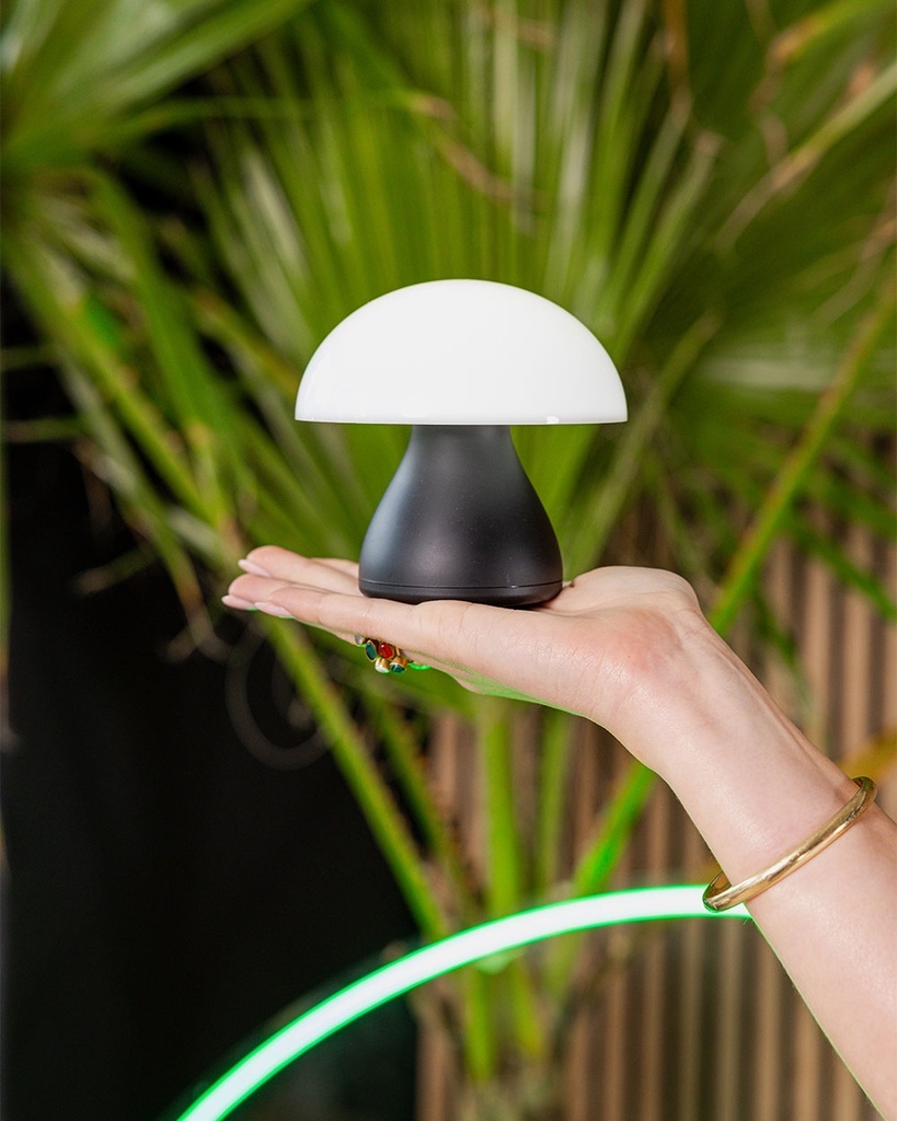 Re-Chargeable Table Lamp