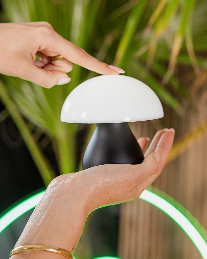 Re-Chargeable Table Lamp