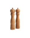 Wooden Salt and Pepper Set