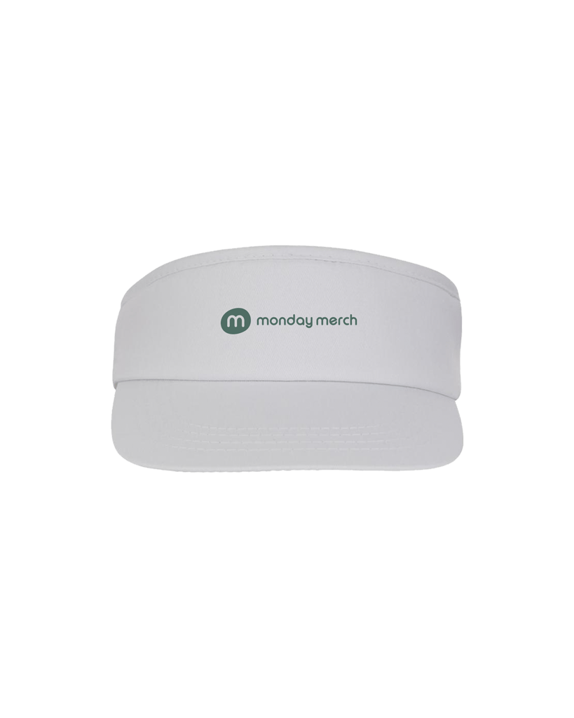 Sun Visor