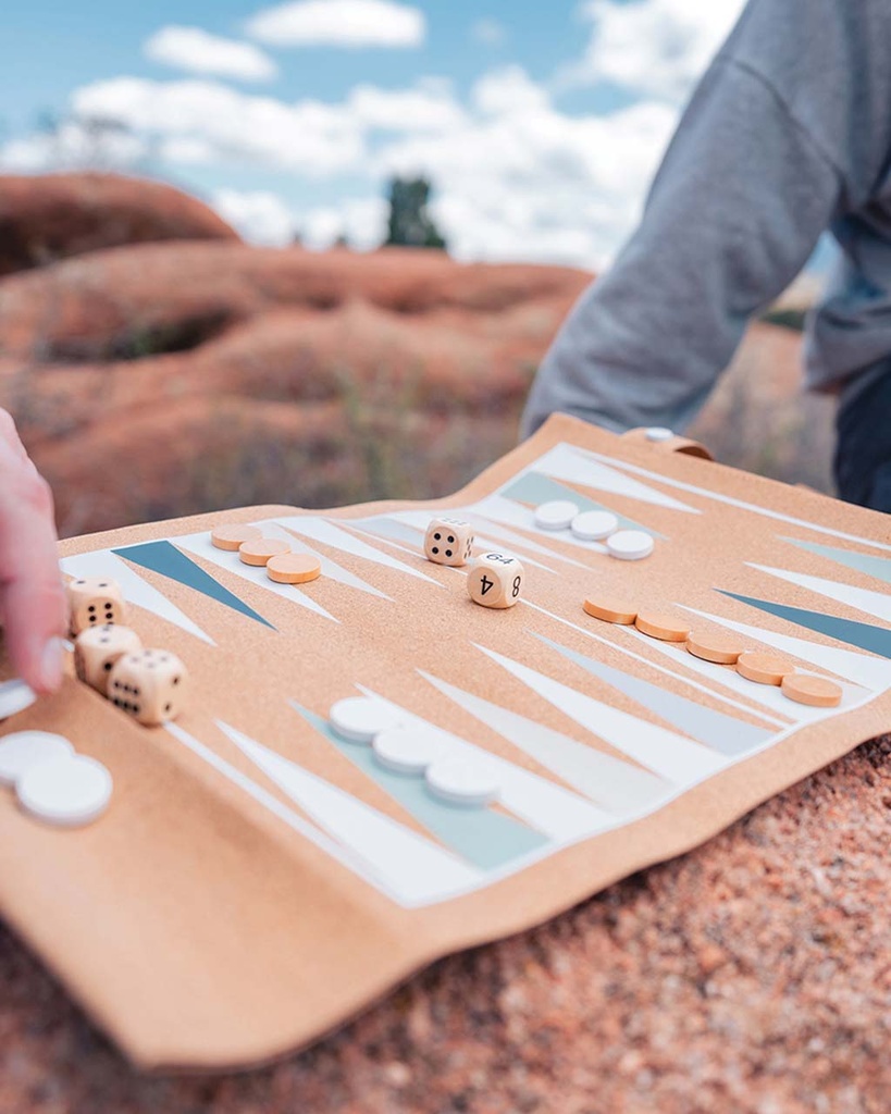 Backgammon and Checkers Foldable Game