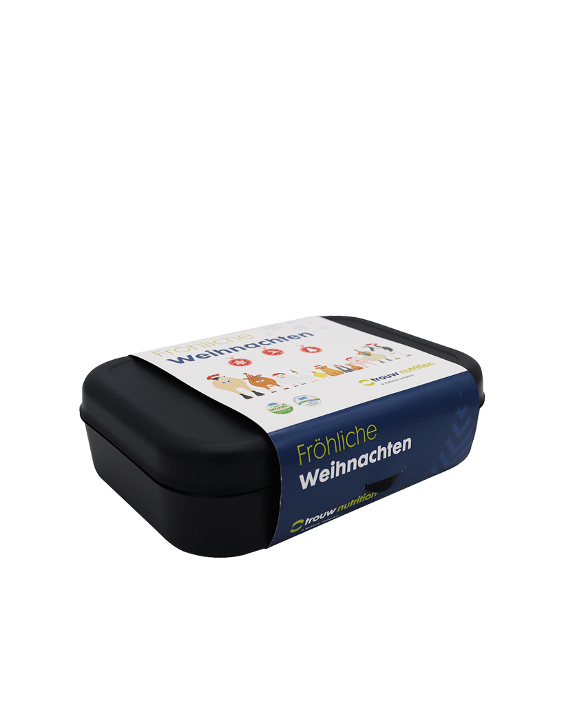 Koziol Pascal Lunchbox - Large