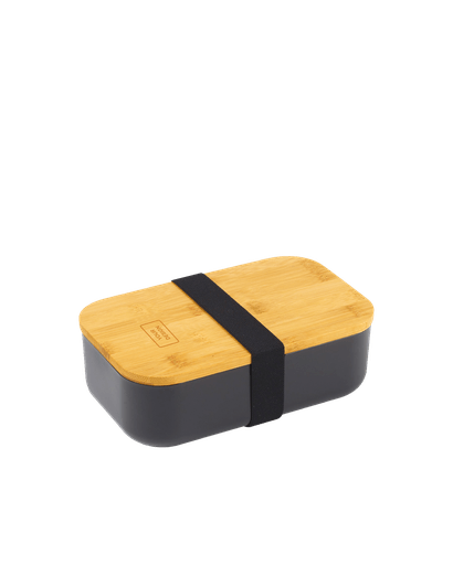Sandwich Lunch Box