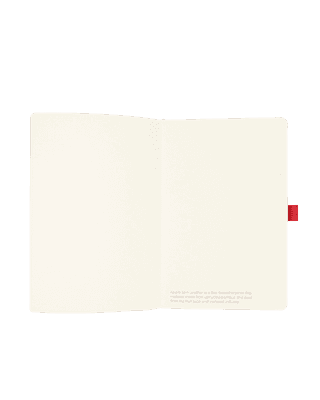Soft Touch Journal