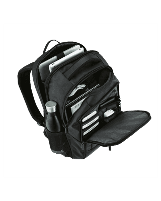 Samsonite Laptop Backpack