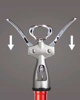 Winged Corkscrew