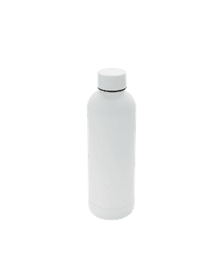 Stainless Steel Bottle • 16.9oz