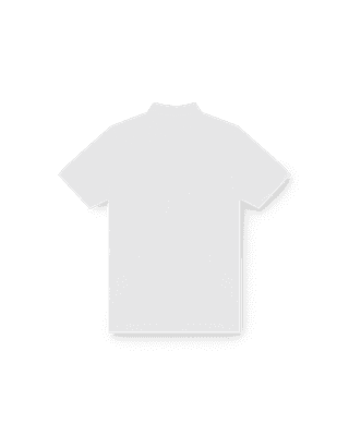 Classic Polo