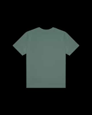 Express Premium T-Shirt
