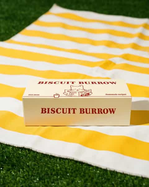 Snack Boxes