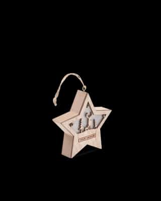 Christmas Starlight Ornament